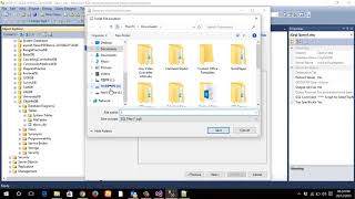 Parameterized Query and Database Script 161