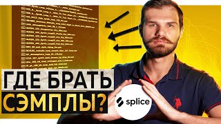 ГДЕ БРАТЬ СЭМПЛЫ? Обзор сервиса Splice