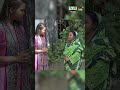 deeptokrishi_r মগা গরুর মহা কান্ড... krishi agriculture deeptotv