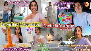 A La Normalidad después de Dias😩 Quiero Cambiar La Decoración🖼️ Jabón Cariximo🧼 Me voy de Parrandas🍤