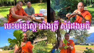 បេះបន្លែស្ពៃឆាប្រេងខ្យង+អាំងត្រីនិងសាច់ឆាន់ចង្ហាន់ថ្ងៃត្រង់និងសំដែងមតិផ្សេងៗពីប្រទេសស្វីស