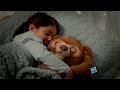 Hasbro México | Conoce a Cubby el Oso curioso de Furreal