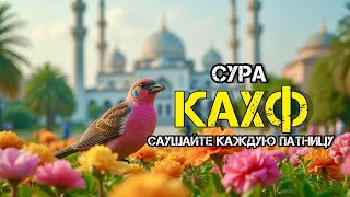 Сура Кахф – сегодня это сунна! Обязательно слушать! Очень красивое чтение!