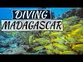 Diving Madagascar - Nosy Sakatia - Nosy Be - Tropical Beauty with Sakatia Lodge