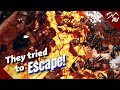 My Pet Ants tried Escaping! | How I stopped them!