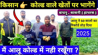 50 वर्षो में आलू का ऐसा हाल नहीं देखा || आलू बेचते रहो फ़ायदा उठाओ 💥 badhanu sasni ground Reporting