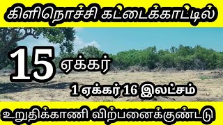 🏡🏡கிளிநொச்சி கட்டைக்காட்டில் 15 ஏக்கர் உறுதிக்காணி விற்பனைக்குண்டடுreal estate🏡🏡🏡