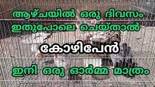 കോഴിപേൻ ഇല്ലാതാക്കാൻ. Tip to prevent hen lice