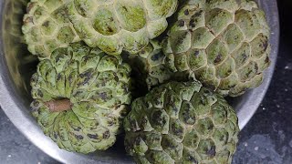 कच्चे सीताफल को पकाने का सही तारिका |sitaphal |custard apple|sitafal|fruit@MaaYehKaiseKarun