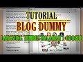 Apa itu Blog Dummy & Bagaimana Cara Membuatnya? Agar Artikel Blog Ada di Halaman 1 Google