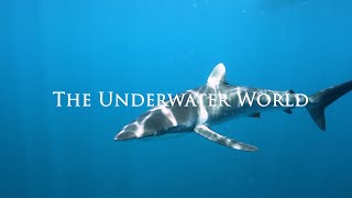 The Underwater World