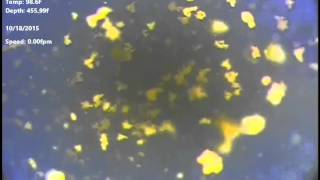 Casing Inspection : Whipstock/ Window Milling Operations