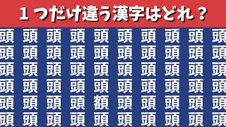 【間違い探し】1つだけ違う漢字を探すまちがいさがし【集中力|記憶力|脳トレ|高齢者|QUIZ|仲間はずれ探し】