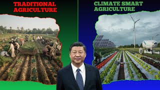 China's Secret Weapon to Combat Climate Change