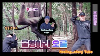 제주도민추천 아름다운습지 물영아리오름!! 전설속에 등장하는 습지는 과연 어떤 모습일까?