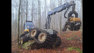 Ponsse Ergo / Beech wood (die Buche) with terrain tracks (bänder) /hill