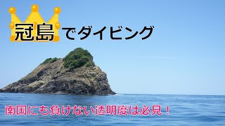 【京都府 舞鶴市 冠島でダイビング】　透明度の高い日本海はこんなにキレイ！？幻想的な景色にお連れします（字幕も入れています^^）