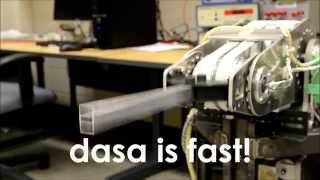 What is dasa?