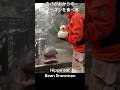 カバがおからのスノーマンを食べる hippo eat bean snowman shorts