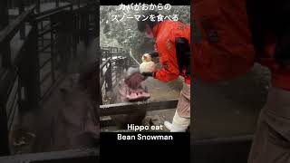 カバがおからのスノーマンを食べる Hippo eat Bean Snowman #shorts