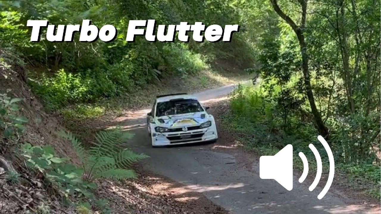 Rally Turbo Flutter Compilation Youtube