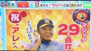 【阪神】阪神対広島。ついにマジック転倒。『あれ』に向けてカウントダウン。