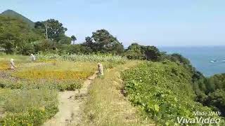 海の京都 丹後町編 此代～丹後松島～屏風岩の景色