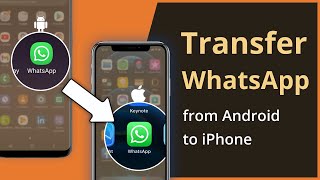 [2 Ways] How To Transfer WhatsApp Messages from Android to iPhone Without Reset 2021