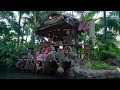 jungle cruise disneyland ride 2025 4k60 pov