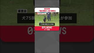 【埼玉県警】民間で訓練された犬から「嘱託警察犬」選ぶ審査会  #shorts