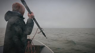 A Native Alaskan Seal Hunt | Humpback Whales Feeding!