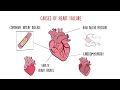 World Heart Federation Roadmap on Heart Failure