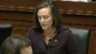 January 22, 2009 Markup - Rep. Castor Opening Statement