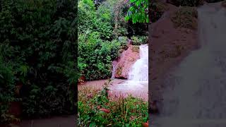 DESCUBRIENDO NUEVAS CATARATAS EN LA SELVA DE PERÚ