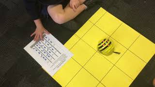 Learning about Coding Commands with Bee Bots