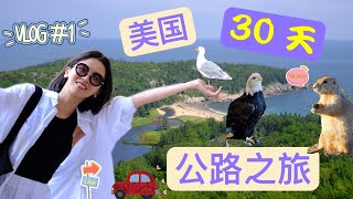 【美国30天公路之旅VLOG#1】第一露营遇到倾盆大雨｜龙虾太好吃了｜沿着裸露的悬崖徒步｜罗得岛州，阿卡迪亚国家公园，波斯顿