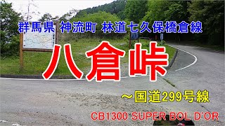 CB1300SB 八倉峠～国道299号線まで、林道七久保橋倉線を走るツーリング動画です。