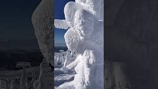 蔵王温泉スキー場・樹氷・SNOW MONSTERに会ってきた！