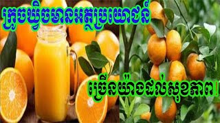 អត្ថប្រយោជន៍សំខាន់ៗនៃការទទួលទានផ្លែក្រូចឬទឹកក្រូចំពោះសុខភាព