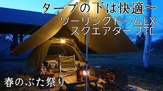 【ソロキャンプ】タープ下で焚き火したいよね！だったらTCタープをお勧めします。春のぶた祭り開催！青森県