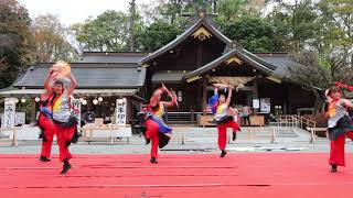 いせはら舞呼「緋紅組」　秦野元気まつり～秋の陣～　出雲大社相模分祠