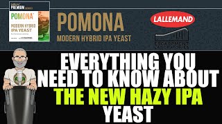 Pomona The NEW HAZY IPA Yeast From Lallemand