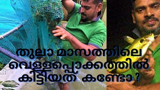 Catching River Fish with Net |  കച്ചാ വല ഉപയോഗിച്ച് പുഴയിൽ നിന്നും മീൻ പിടിക്കാം | Mudakkalizz World