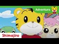 Thrills and Chills 🌟 Family | Courage | Kids videos for kids | Shimajiro