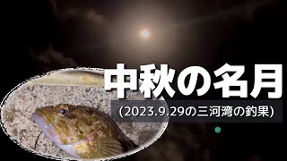 中秋の名月でも気持ちいい魚は獲れず…orz(2023.9.29の三河湾の釣果)