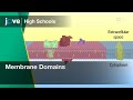 Membrane Domains | Cell Bio | Video Textbooks - Preview