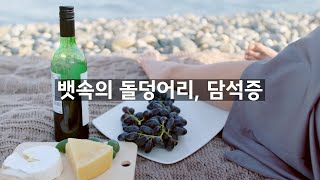 뱃속에 돌덩이가 생긴다?! 담석증이 걱정된다면  A rock forms in your stomach?! If you are worried about gallstones