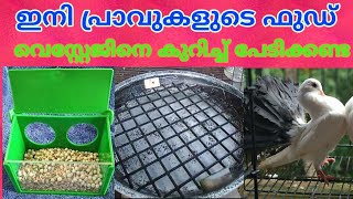 ഇനി പ്രാവുകളുടെ തീറ്റ വേസ്റ്റ് ആകില്ല. Pigeon food wastage Compleetly stoped.