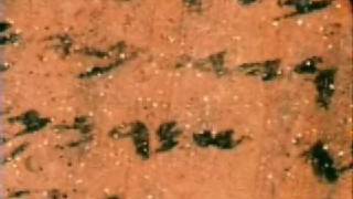 The Azeqah ostracon: the Lakhish letters