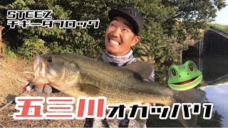 DAIWA 実釣ルアーマニュアル STEEZ チキータフロッグ 内山幸也